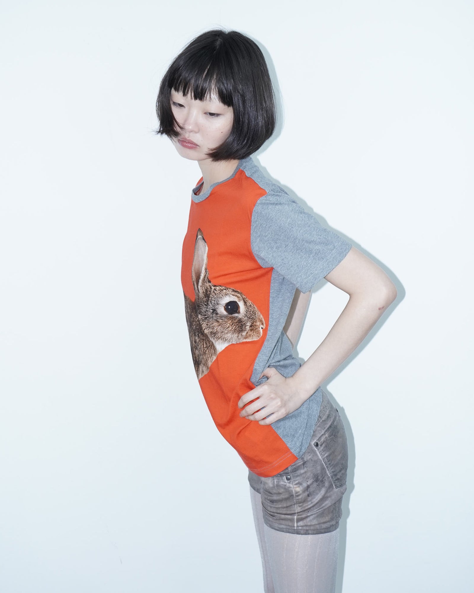 t-shirt with rabbit print graphic