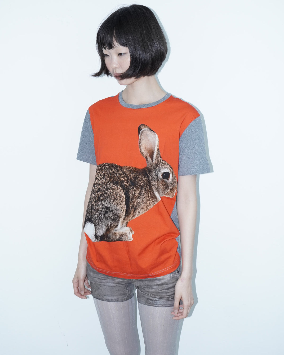 t-shirt with rabbit print graphic