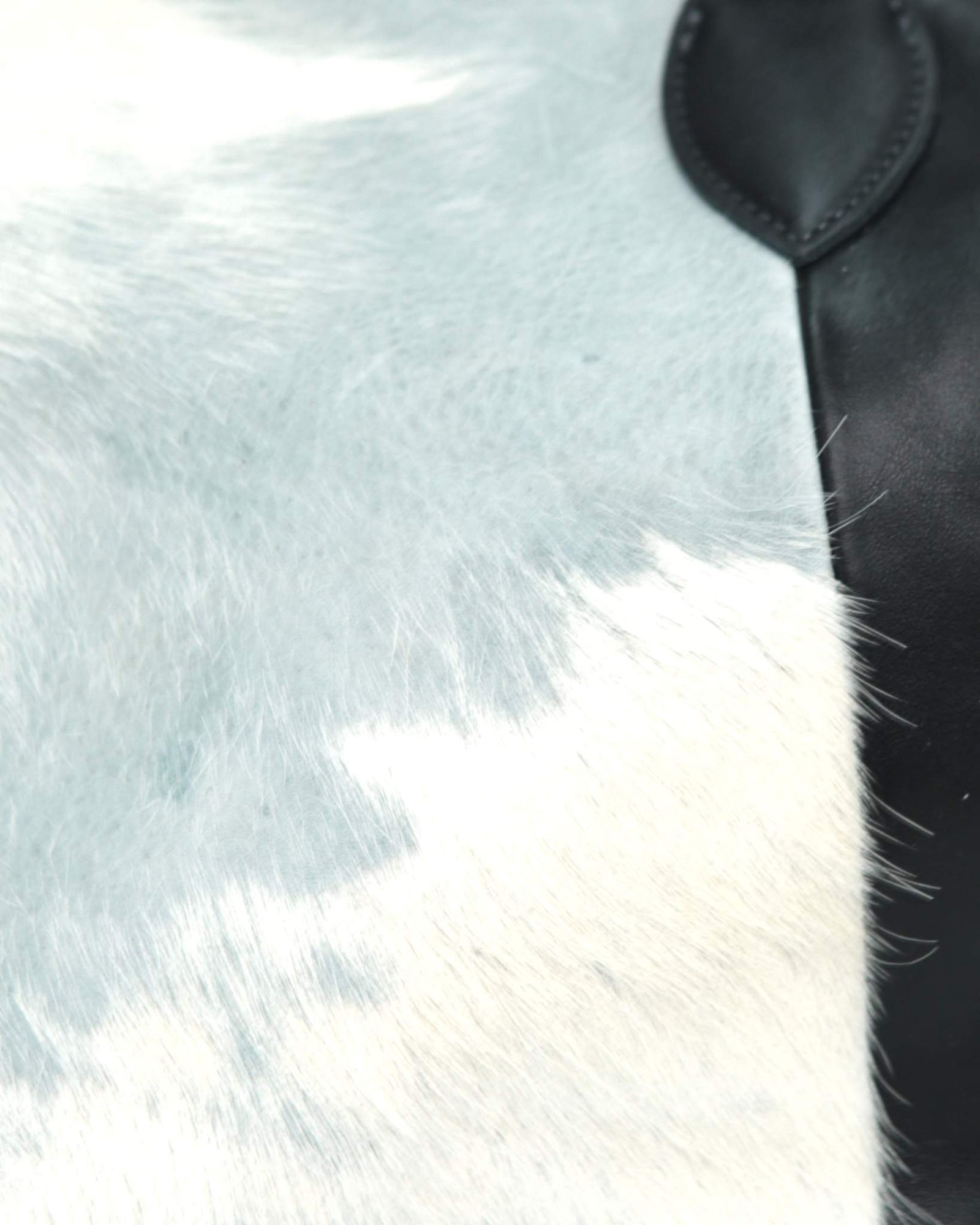 medium soft blue and white pony hair and black leather bag